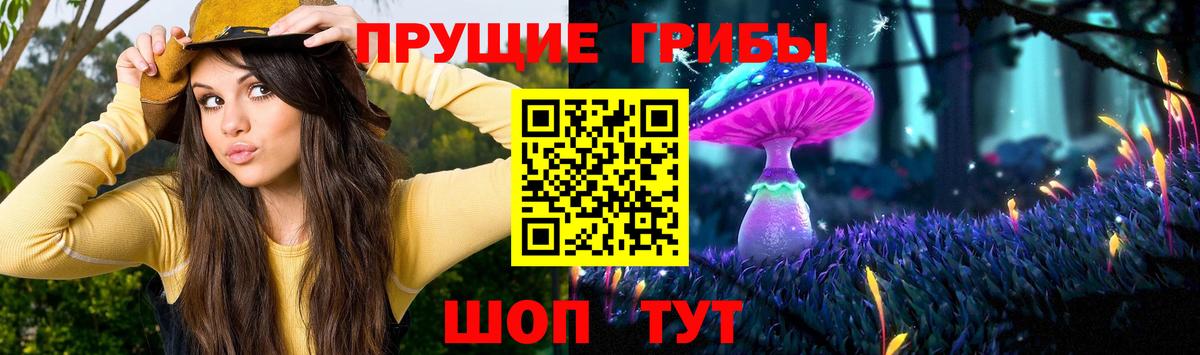 Гагарин  Галлюциногенные грибы ЛСД  Вход с VPN 